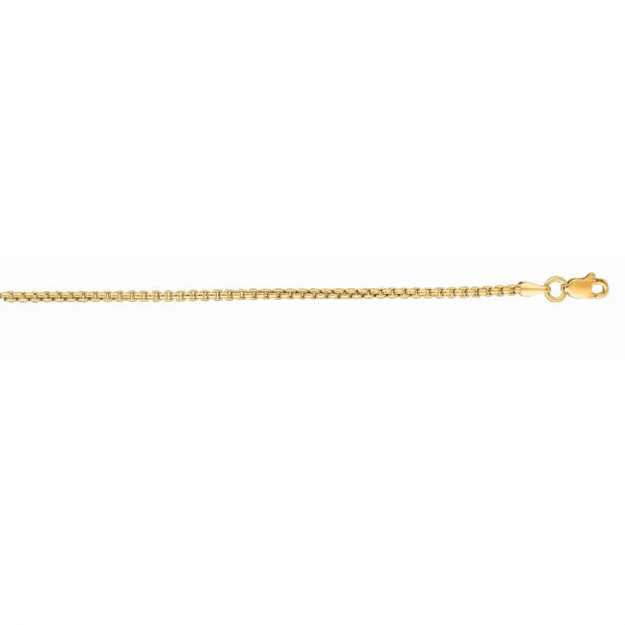 Gold Chains & Necklace