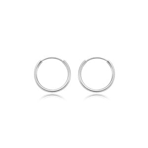 Small Hoop Earrings