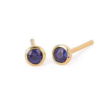 Sterling Silver Created Sapphires Earrings