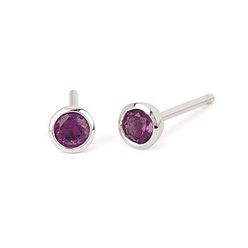 Sterling Silver Amethysts Earrings