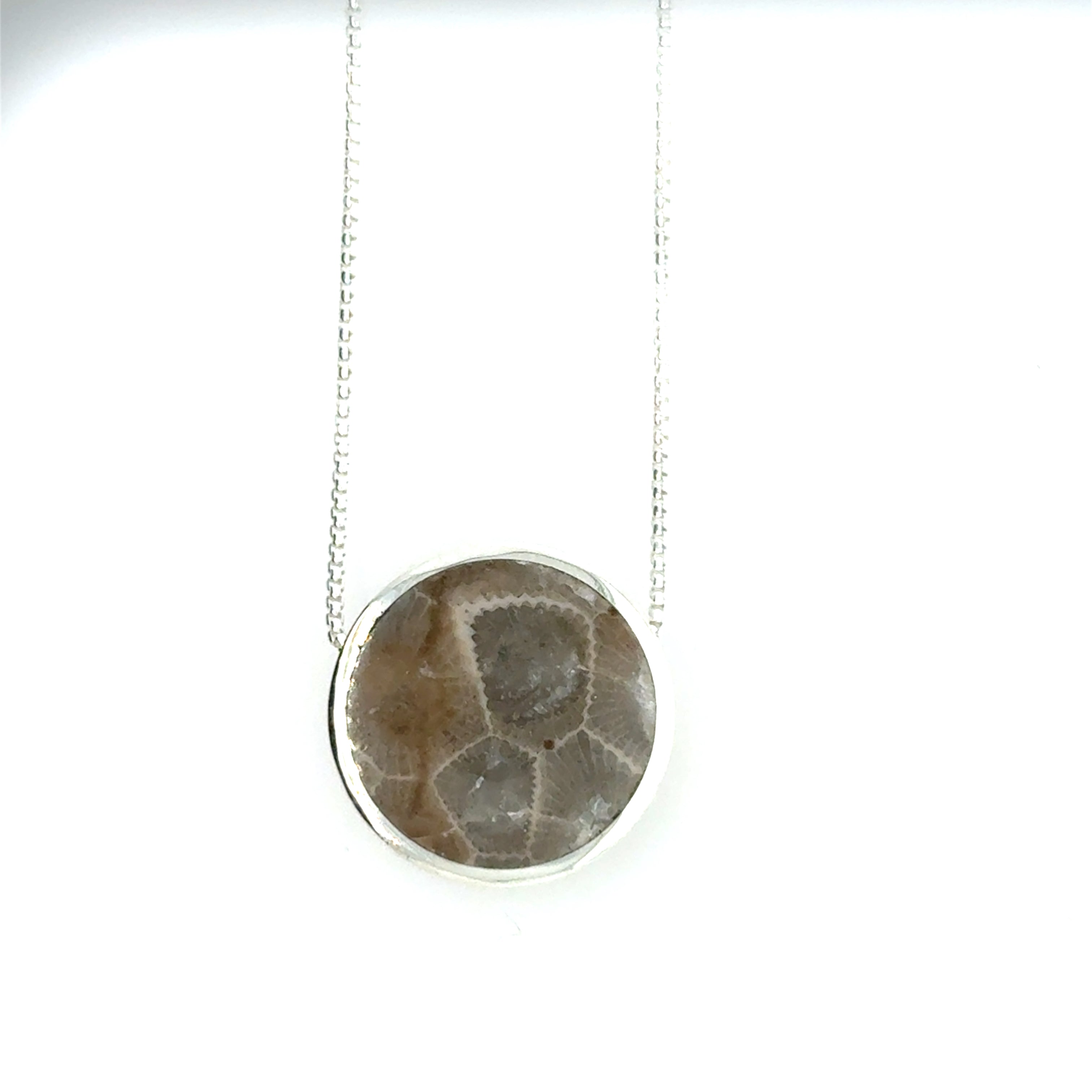Petoskey Stones Jewelry