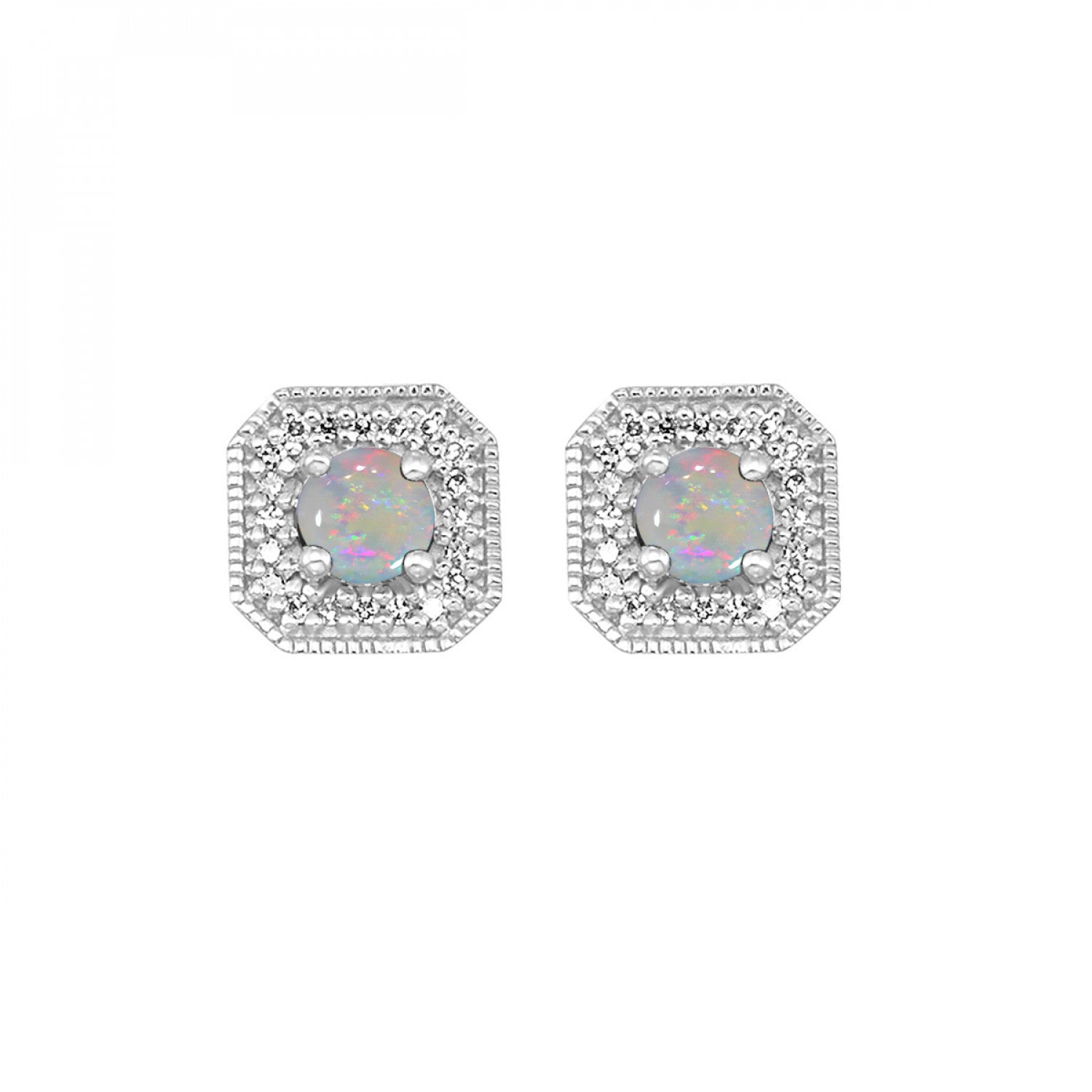 10K White Gold Opals Earrings